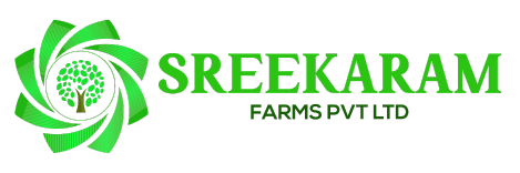 Paritala Logo